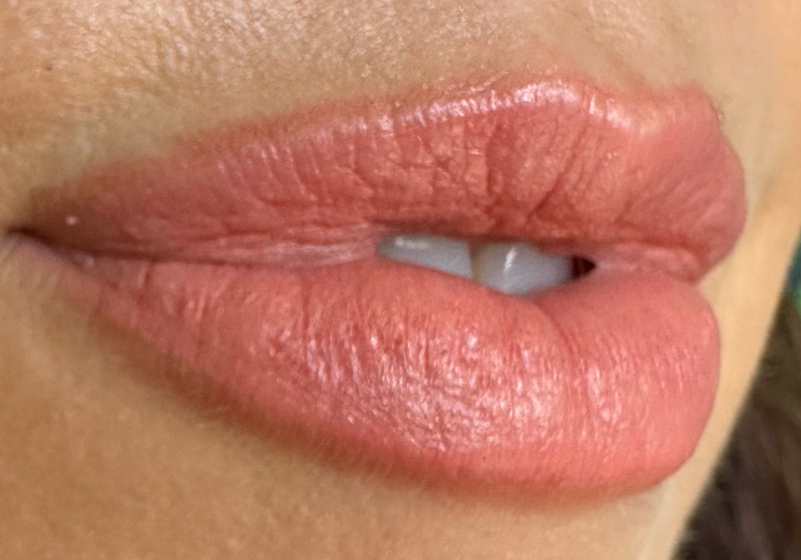 Shalah Skin - Lip and Cheek Cream - Nudey Pink