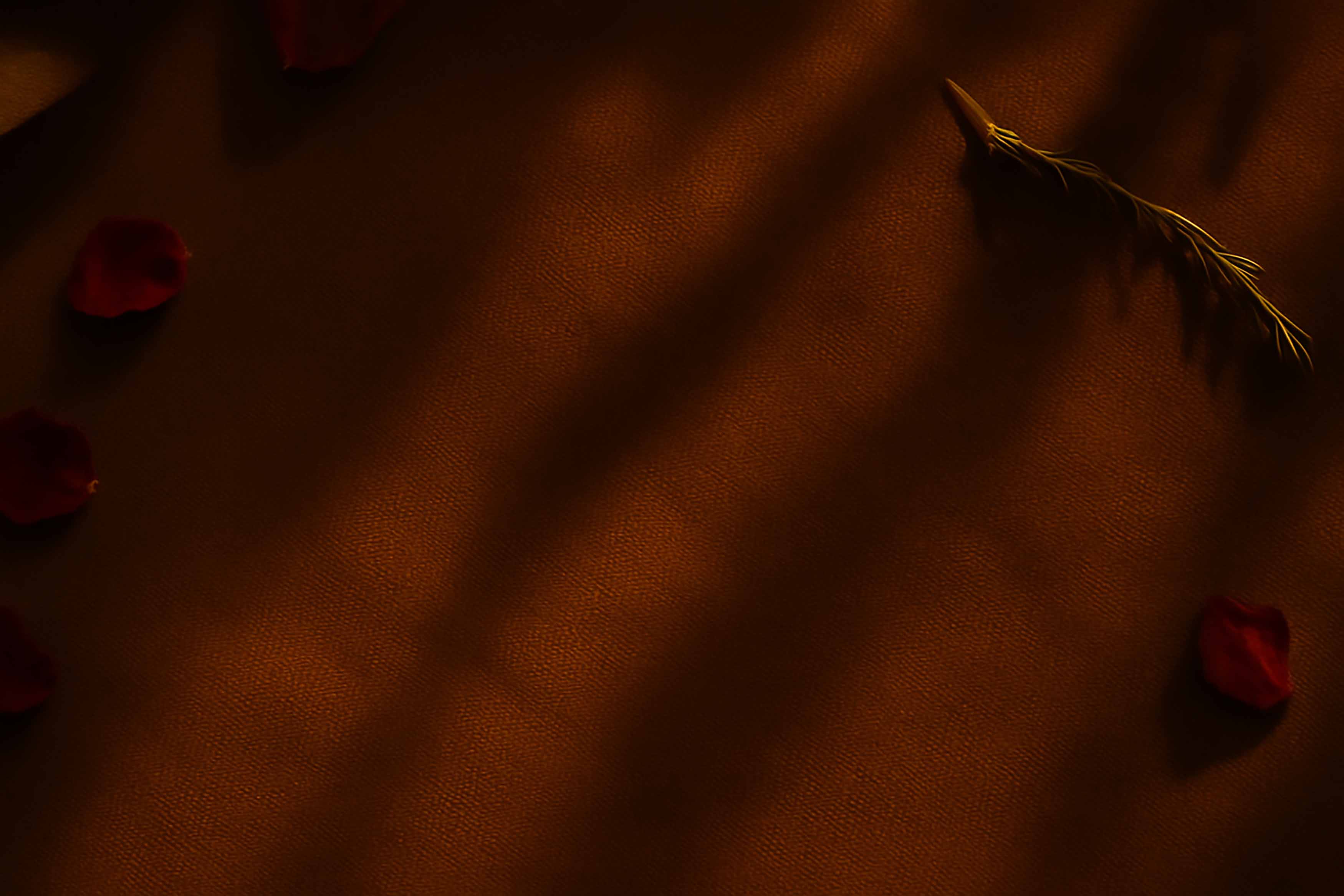 SHALAH SKIN - We are listening